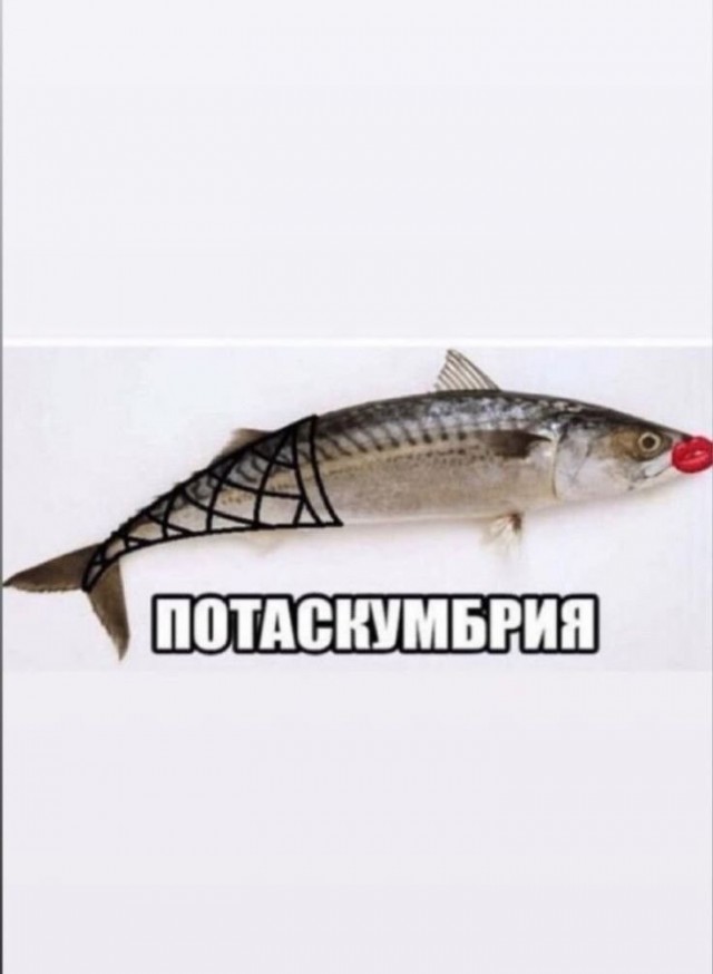 Завалялось тут случайно немного забавных картинок
