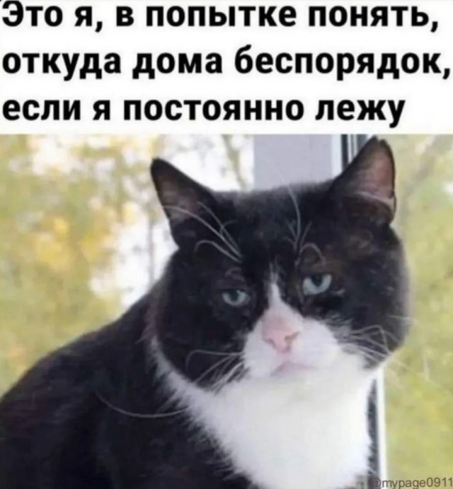 Завалялось тут случайно немного забавных картинок