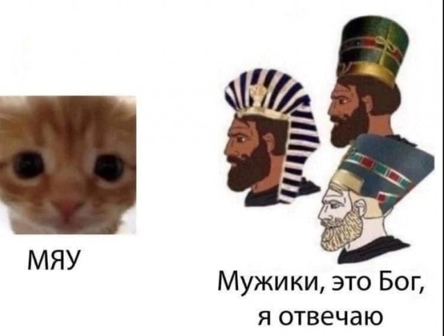 Откуда взялись кошки?