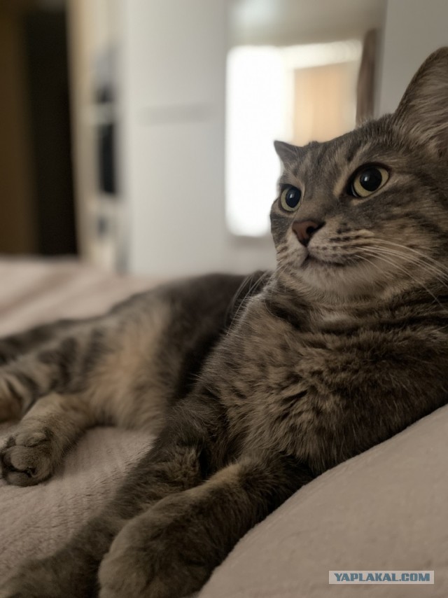 Его первый вторник