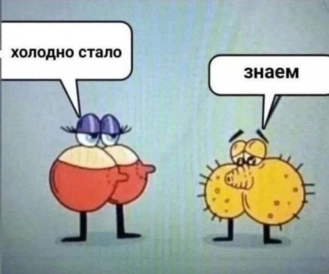 Так себе картинки 07.08.25