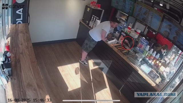 Дерзкая кража сосиски попала на видео в Воронеже