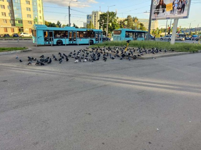 Вторжение инопланетян. Сатурну больше не наливать.