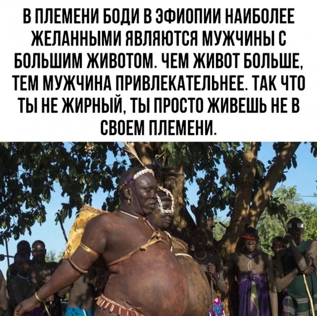 Так себе картинки 24.08.25