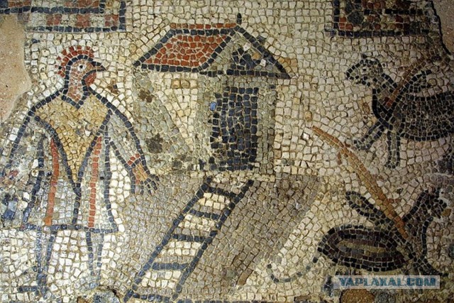 В Римской Империи тоже был свой Кочет