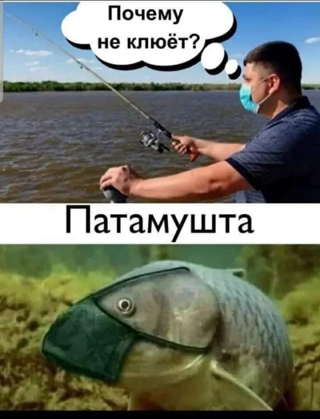 Четверг в картинках