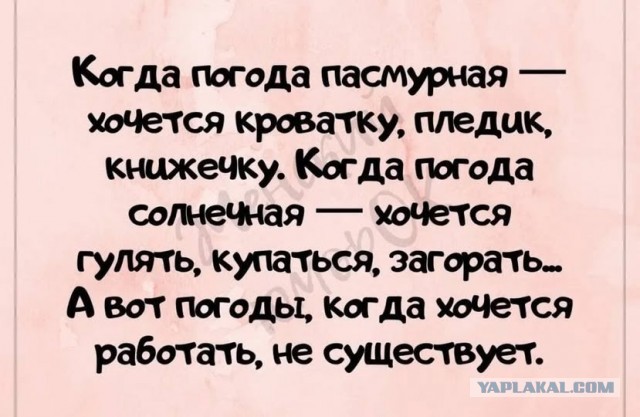 Четверговые картинки