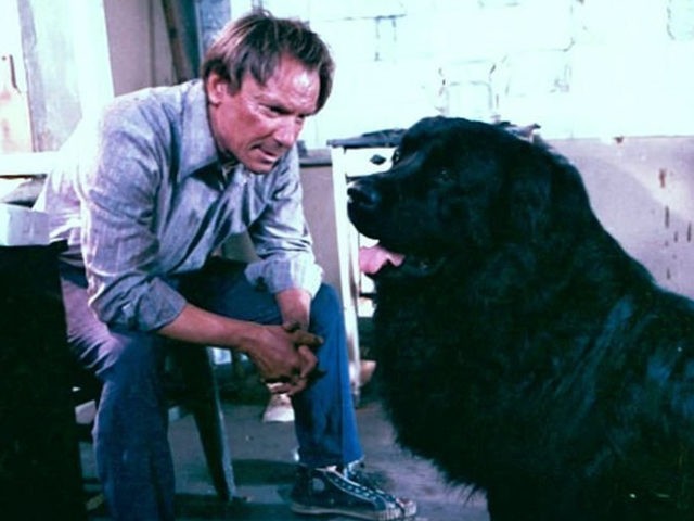 Скулят (по мотивам другой темы)