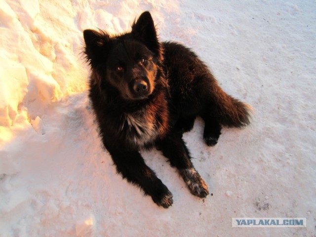Cтанция Валькаркай
