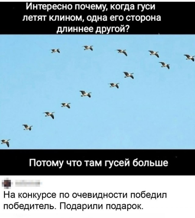 Так себе картинки 08.02.26