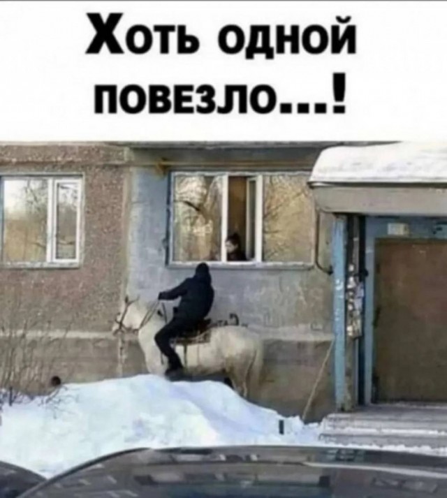 Картинки для деградации 137 (разной степени свежести)