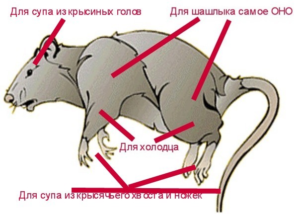 Плов