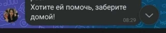 «Кто укроет собаку — пойдёт за собакой»