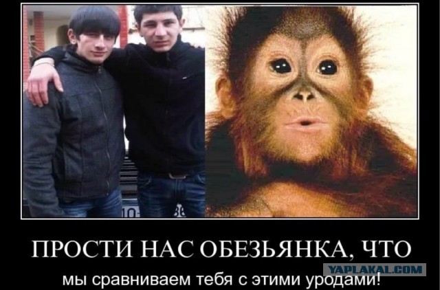 На дорогах Москвы