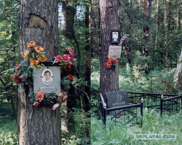 Самая аномальная трасса России «Колыма» стала чаще калечить людей