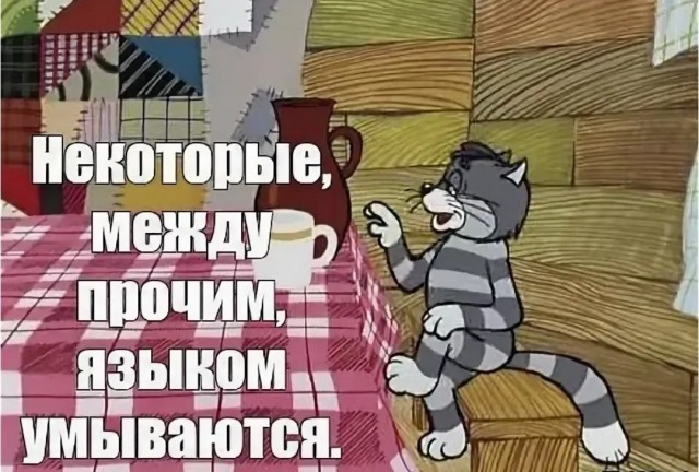 Кошачьи общественные бани