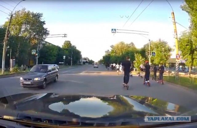 Велосип@дики
