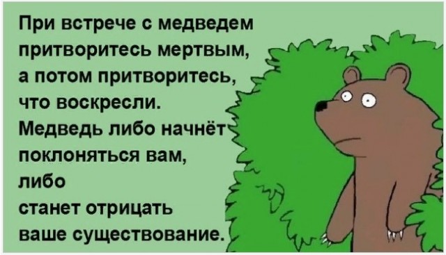 Что будет с вами,при случайной встрече в лесу с бурым медведем.