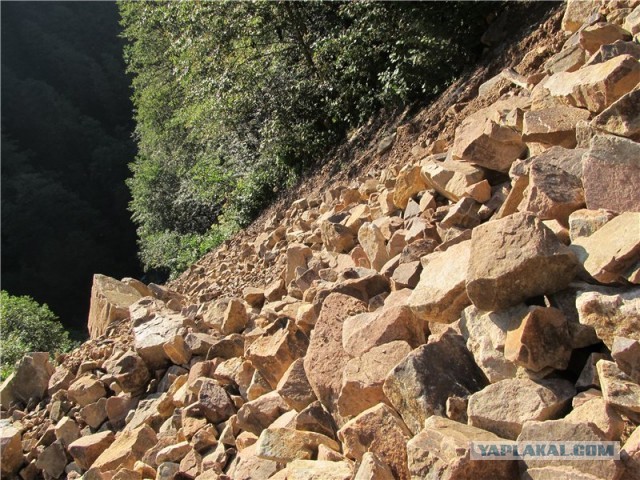 В горах. Абхазия.