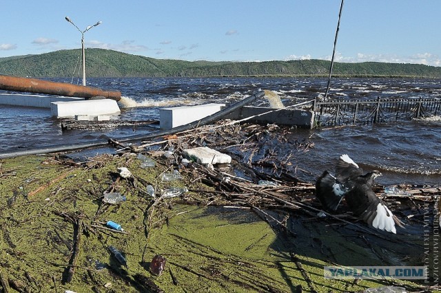 Всё, вода уходит! А вместе с нею печаль, разруха..