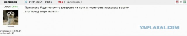 Покадровый разбор видео расстрела толпы