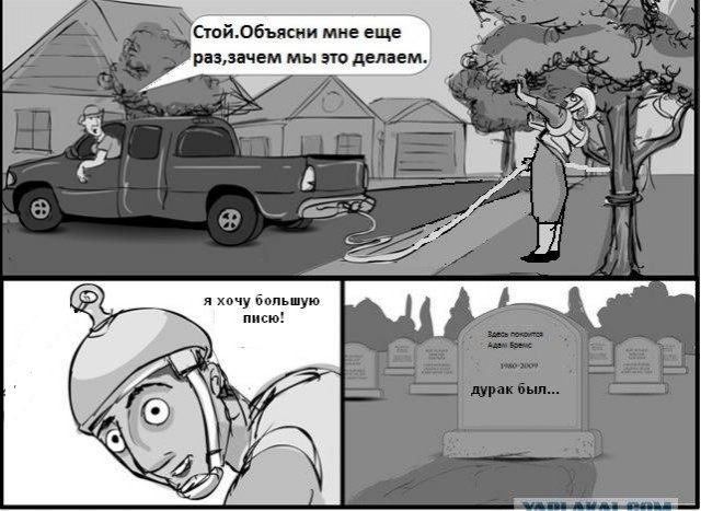 Невообразимая любовь к животным