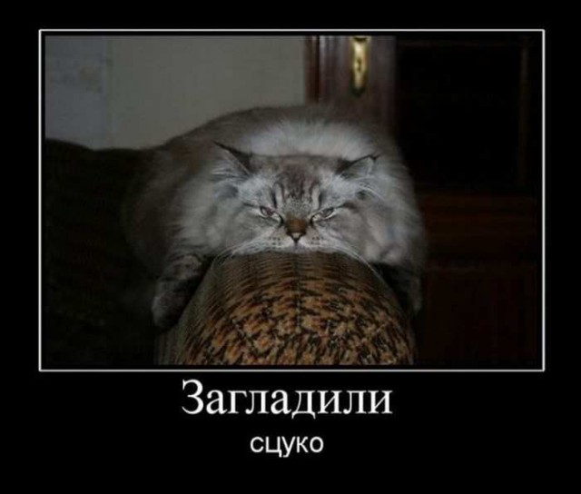Демотиваторов пост, добавляйте свои