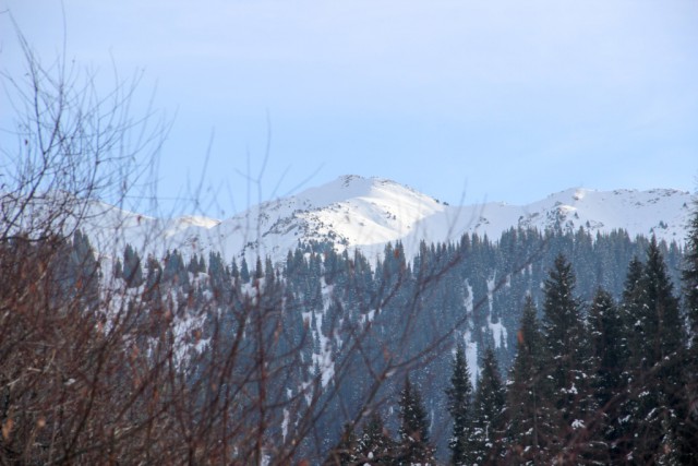 Деревенская Америка