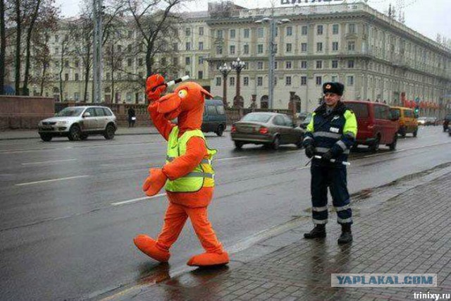 Весёлое из сети