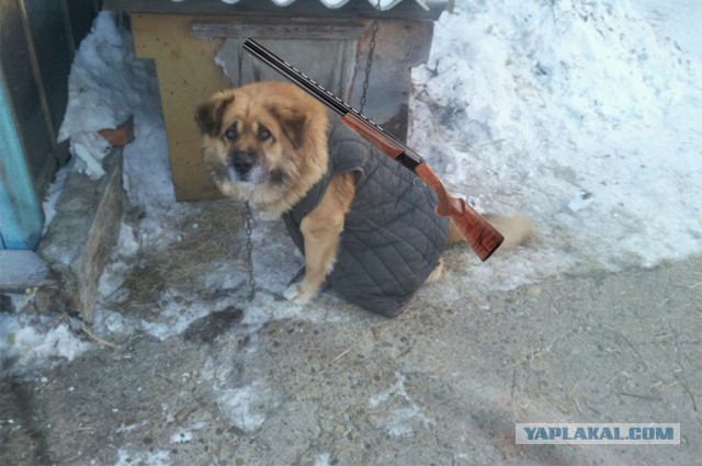 Похолодало