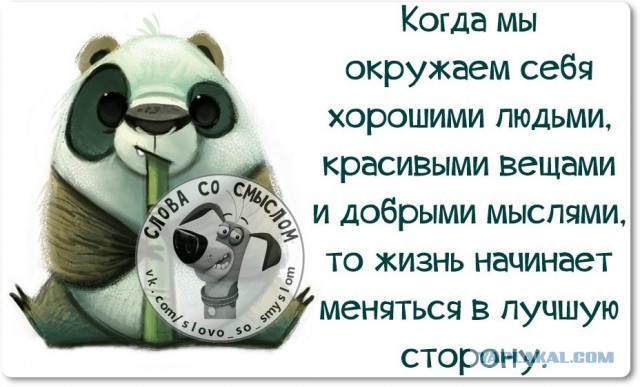 Веселые жизненные наблюдения из Вредного журнала