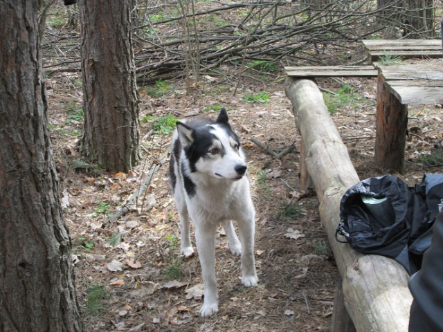 Опасный район