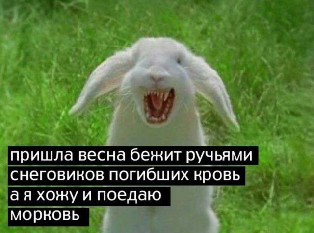 Злые шутки или минутка сарказма на ЯП-е, 16+