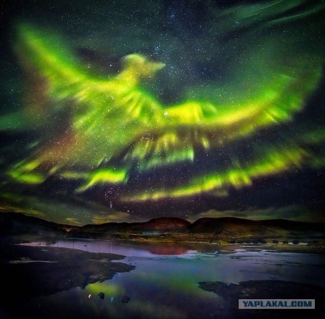 Свежая подборка красивых фото