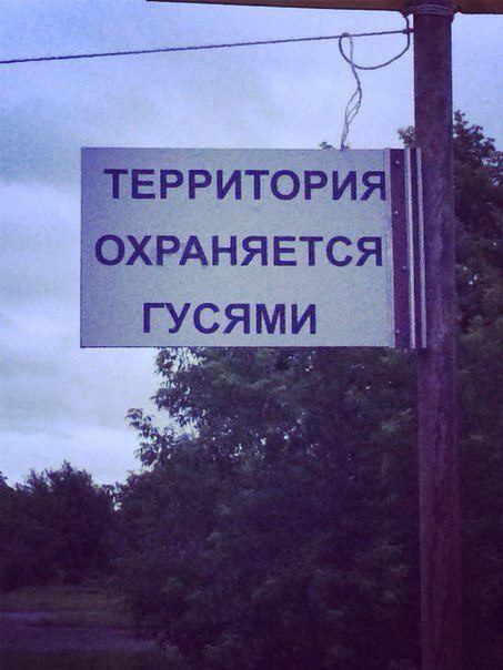 Опять подслушано