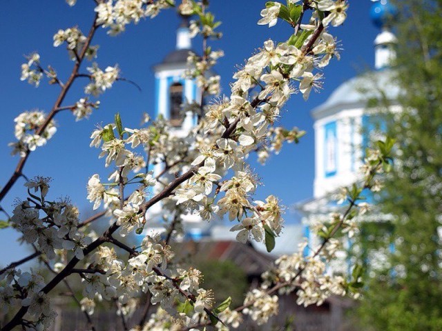 Подборка "тёплых, уютных, домашних" фото, ч.4