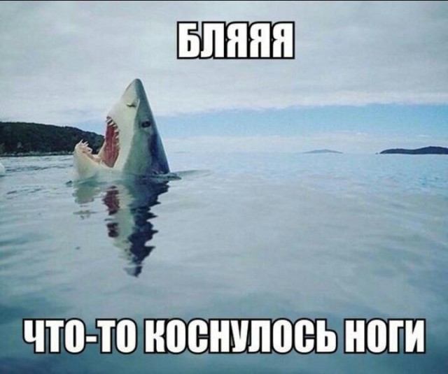 Паническая атака у дайвера