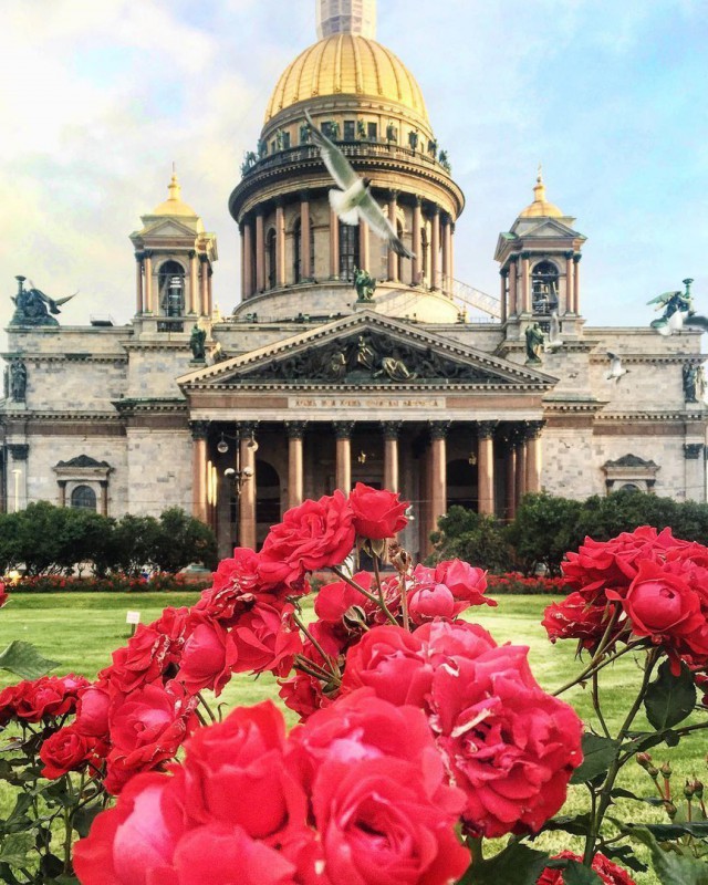 Картинки для отдыха глаз