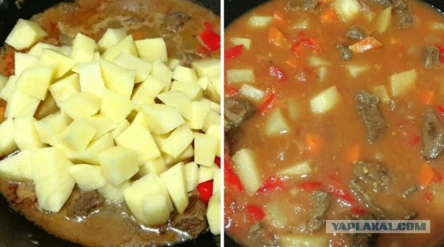 Мировая кулинария. День повара