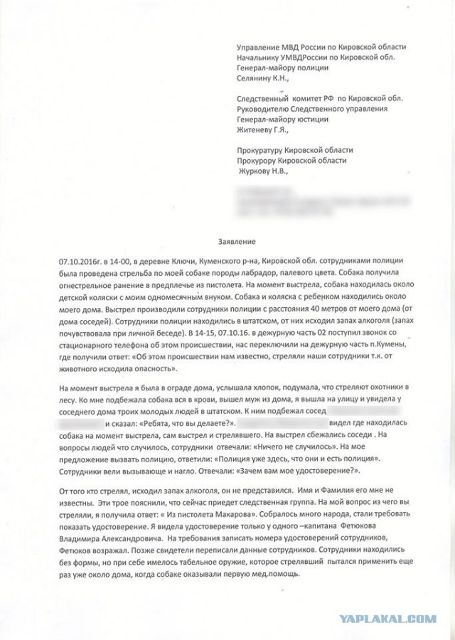 Хозяев лабрадора, в которого выстрелил полицейский, привлекут к ответственности