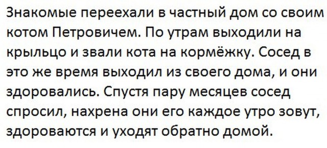 Картинки из интернетов