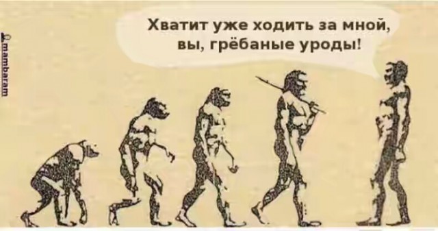 17 сатирических иллюстраций, после которых появляются вопросы к эволюции