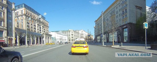 Липы на тверской по 200 тыс. за дерево
