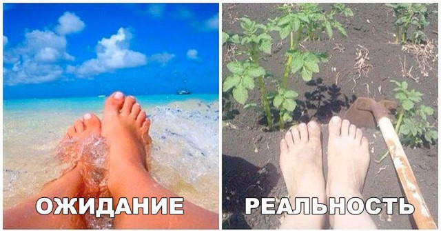Подборка интересных и веселых картинок