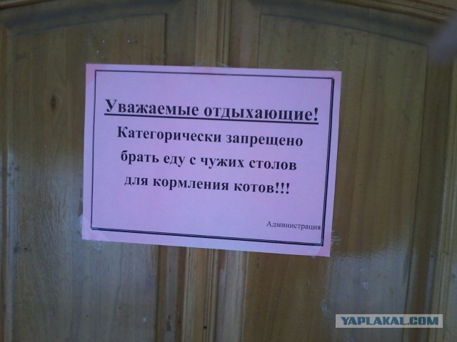 Смешные картинки и комментарии.