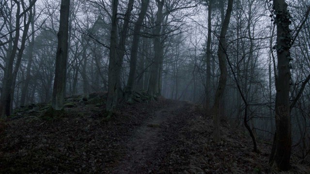 Подборка фильмов ужасов, действия которых происходит в лесу