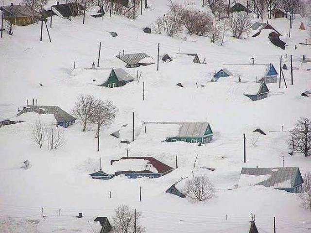 Картинки