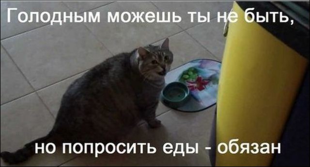 Нестандартный юмор