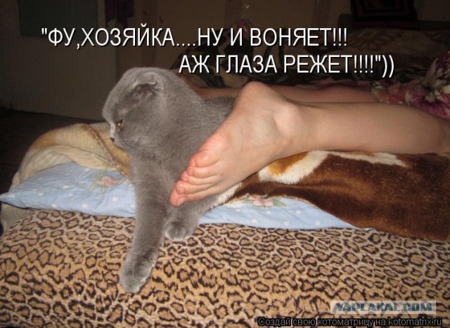 Круглая пятница