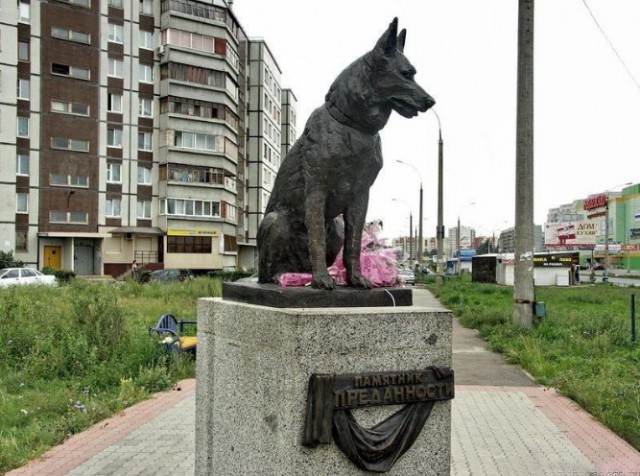 Собаке Найде, которая 12 лет ждала своего хозяина у дороги, где тот погиб, установят памятник